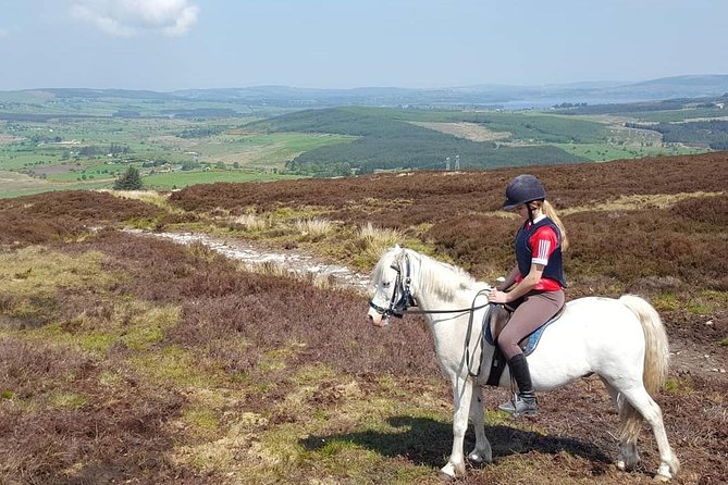 Wicklow Mountains Horse Trekking - Weather, clothing, and comfort