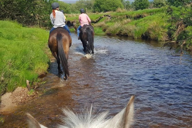 Wicklow Mountains Horse Trekking - Is $90.70 a fair price?