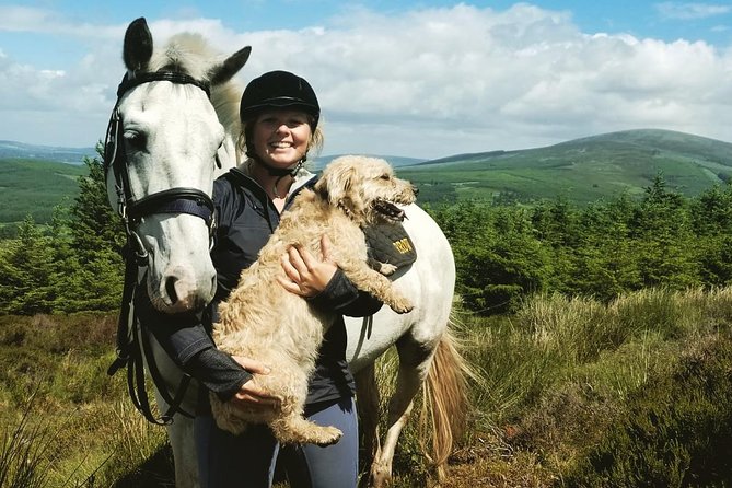 Wicklow Mountains Horse Trekking - Meeting the horses at 10:00 am