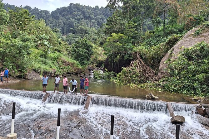 Wild Elephant Anakulam & Waterfalls Tour(munnar valley Trekking) - Is $70 good value for the full day?