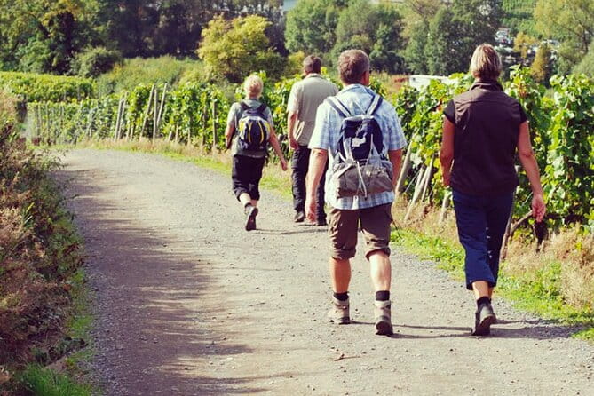 Wine Hiking Sip & Trek - Key points at a glance