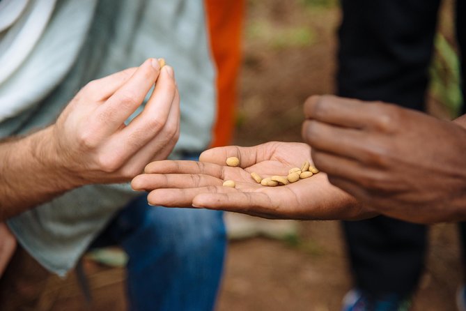 Women-led Coffee Farm Trek - The welcome at Tuk Cooperative
