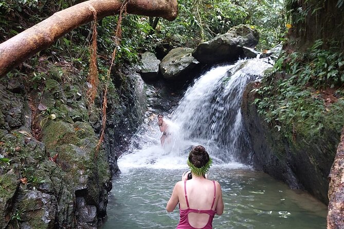 Wonderful 2Days 1Night Bukit Lawang Jungle Trekking Free Rafting - Why this Bukit Lawang trek is worth considering