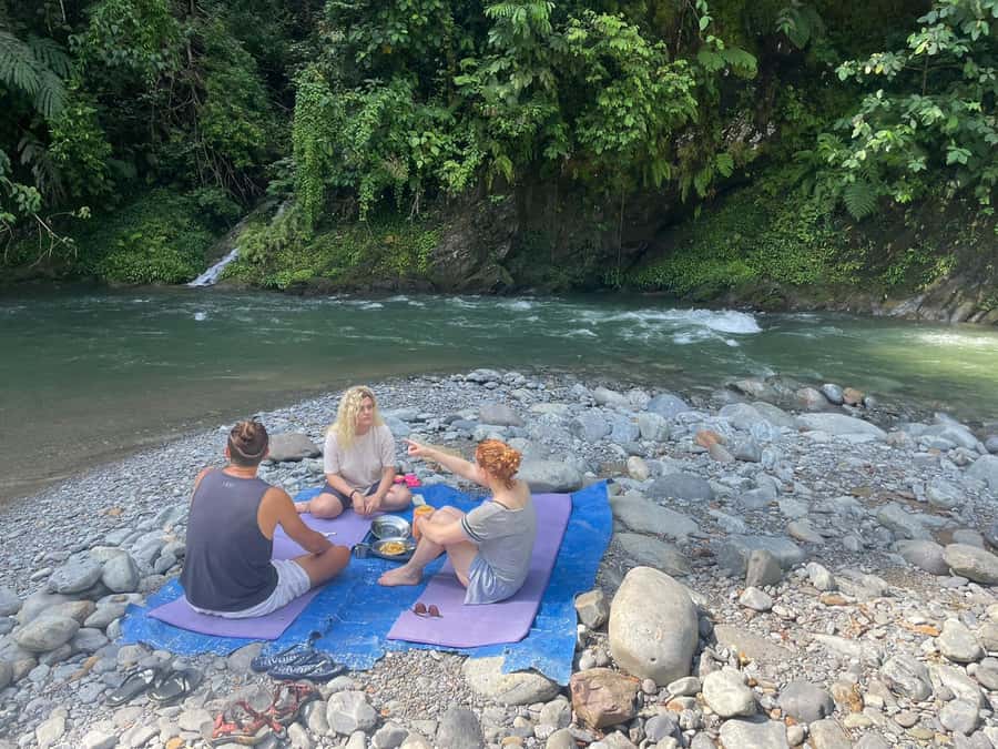 Wonderfull Orangutan Sumatera Jungle Trekking and tour - Why the guides matter in a rainforest