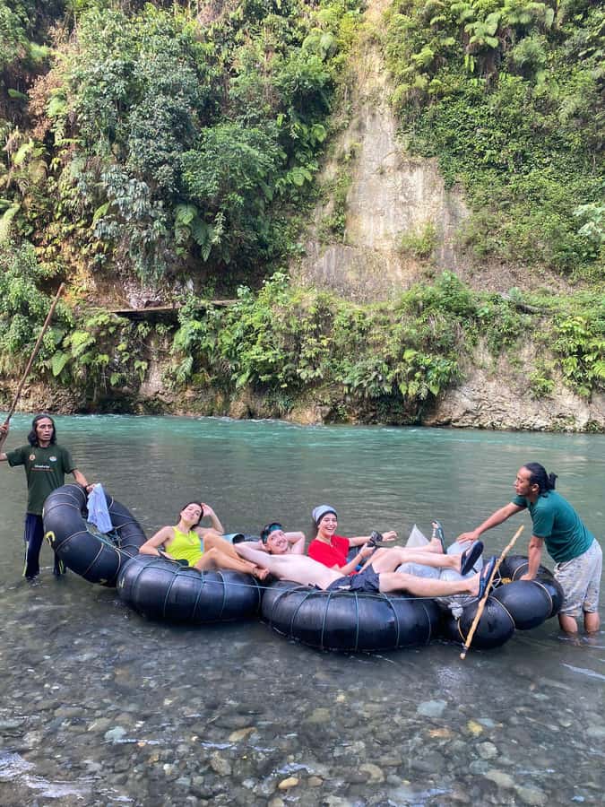 Wonderfull Orangutan Sumatera Jungle Trekking and tour - Is $77 a fair price?