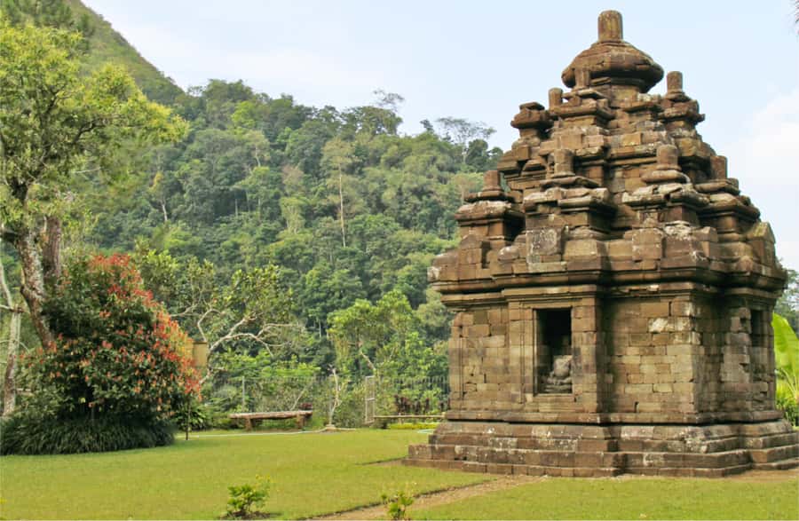 Yogyakarta: Selogriyo Temple Tour & Java Rice Terrace Trek - Guides who make the countryside readable