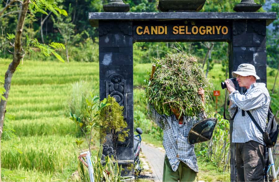 Yogyakarta: Selogriyo Temple Tour & Java Rice Terrace Trek - Practical planning for the six-hour outing
